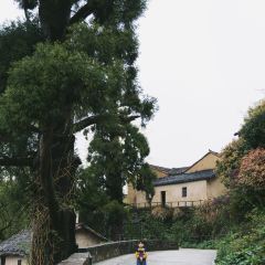 云上平田·爷爷家咖啡 User Photo