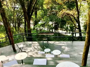 鸟鸣涧野生菌森林餐厅