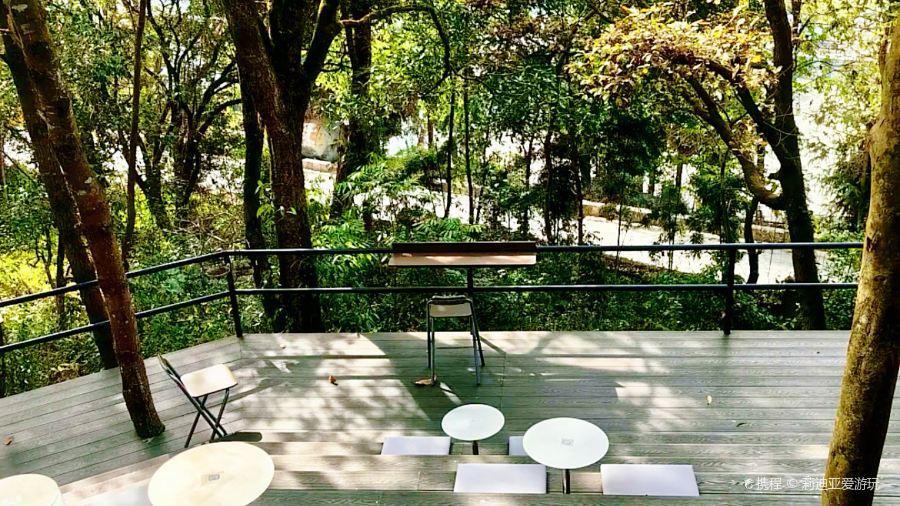 鸟鸣涧野生菌森林餐厅