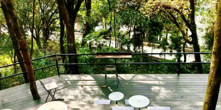 鳥鳴澗野生菌森林餐廳