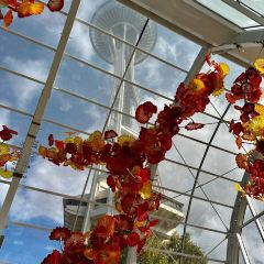 Tilikum Place Cafe User Photo