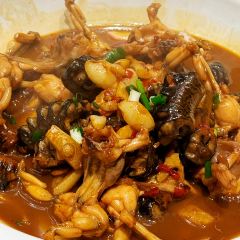 A HUA NONG ZHUANG User Photo