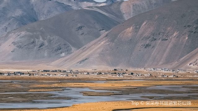 ding jie xian shi wan ge sha qiu