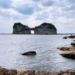 海鮮壽司とれとれ市場張用戶圖片