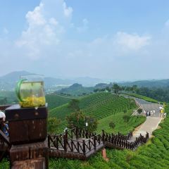 WEN XIN CHA ZHUANG YUAN User Photo