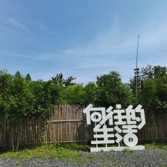 梦回桃花园擂茶(伯赞路旗舰店) User Photo