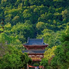 Wang Qing Shui User Photo