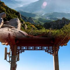 老城根土菜館張用戶圖片