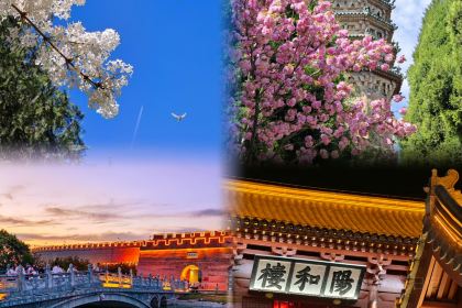 红星包子(中山路店)