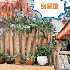 思普雅苑 User Photo