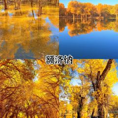 HEJING RESTAURANT User Photo