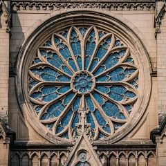 义远有机农场餐厅 User Photo