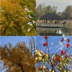 老马家羊杂碎店 User Photo