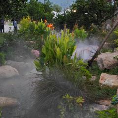 枇杷熟了coffee User Photo