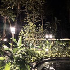 惠州中海湯泉飯店·滿庭芳餐廳張用戶圖片