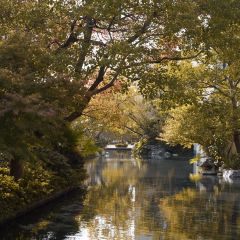 The Grove User Photo