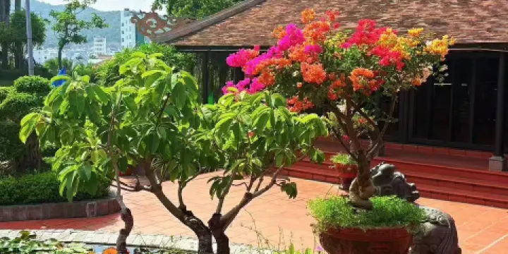 紫蒙湖旅遊風景區-休閑區