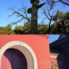 彩塔炒焖子(彩塔夜市店) User Photo