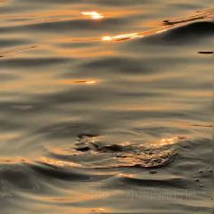 吴进平小食店 User Photo