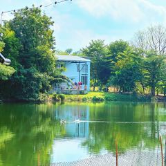 Bella Goose Cafe on the Pond User Photo