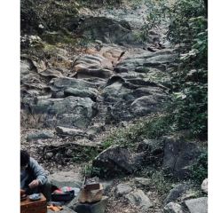 安夏食舍張用戶圖片