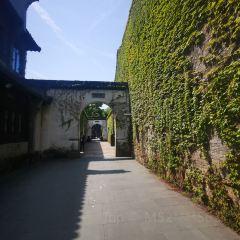 THE FOREST LIVE MUSIC 여행 사진