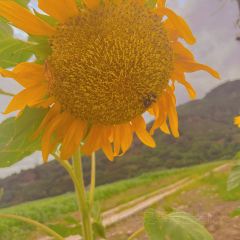 点将台庄园火锅 User Photo