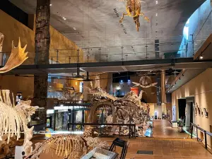 Kitakyushu Museum of Natural History & Human History