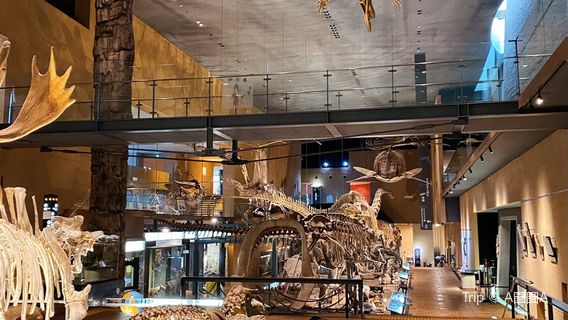 Kitakyushu Museum of Natural History & Human History