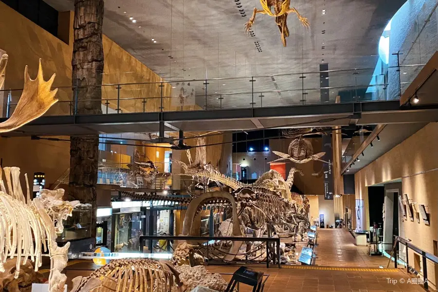 Kitakyushu Museum of Natural History & Human History