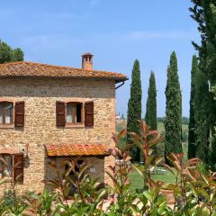 il pomodorino張用戶圖片