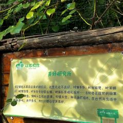 从前农庄 User Photo