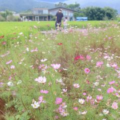 春沐源咖啡厅 User Photo