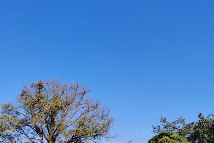 大益茶庭(勐海会员中心店)