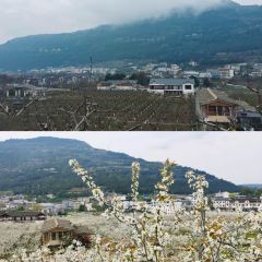 老梨园农庄 여행 사진