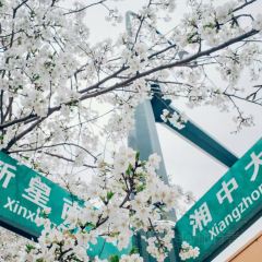 花之林(湘中大道店) User Photo