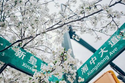 花之林人文茶馆(湘中大道店)