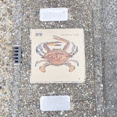 Amano Ie Gozaya User Photo