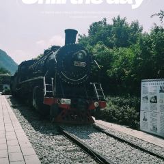ZHEN YANG FANG User Photo