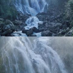 尝回头羊肉粉(体育馆店) User Photo