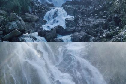 尝回头羊肉粉(体育馆店)