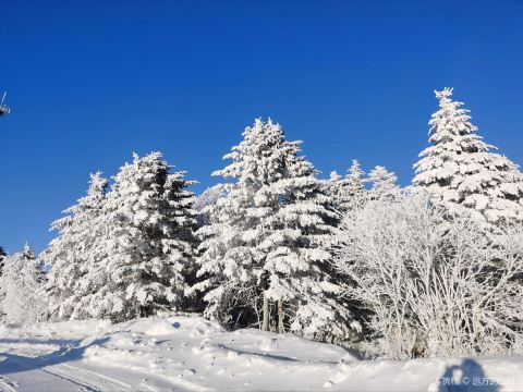 Daqingshan National Forest Park