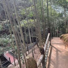 丫山农家乐 User Photo