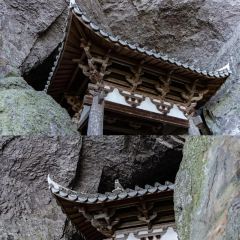 郑记蛋燕 User Photo