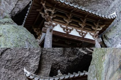 郑记蛋燕