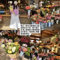 咸鱼咖啡馆 User Photo