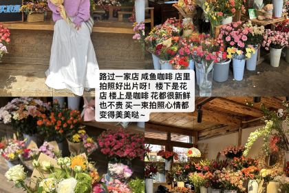 咸鱼咖啡馆