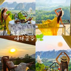 T三峰林茶谷野奢帐篷营地·T三茶宴 User Photo