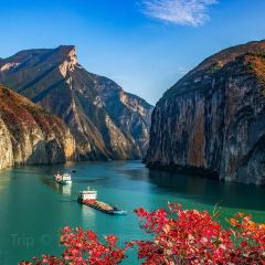 WU SHAN ROAST FISH User Photo