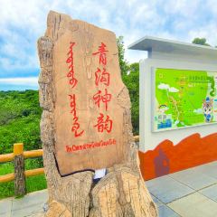 HA JIU HAI User Photo